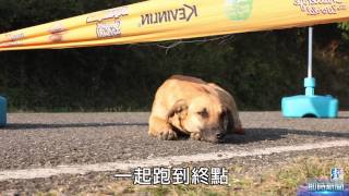【台灣壹週刊】短腿小黃勇闖超馬賽　跑出幸福