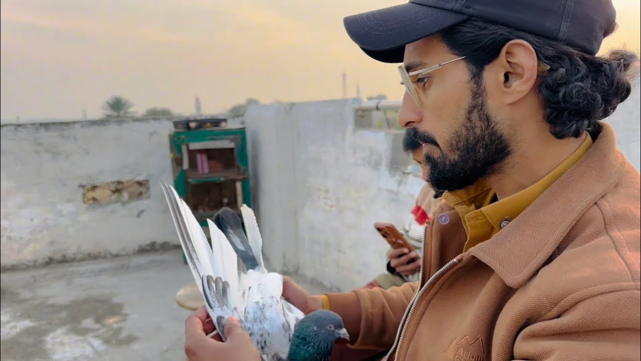 Gaon ki chat ka visit Parpotai 🥰 | Dar pigeons club |