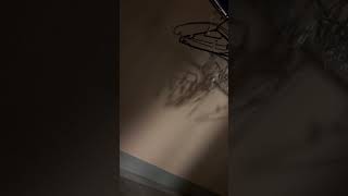 IMG 1978