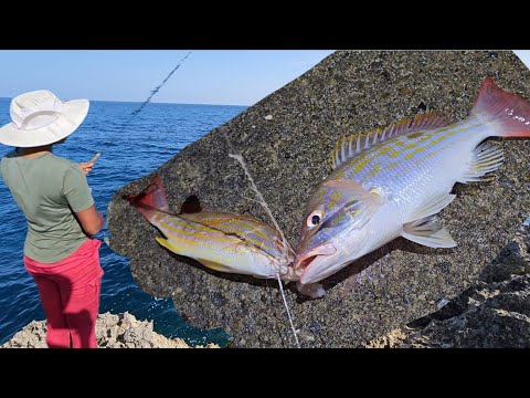 Our Guests Join Us For A Fishing Adventure || Snappers Caught On A Sabiki