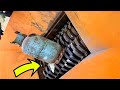 Shredder VS Gas Cylinder – Will It EXPLODE? (Dangerous Experiment!) Don't Try At Home