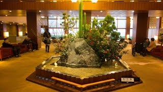 Tokyo's iconic Okura hotel closes ahead of demolition