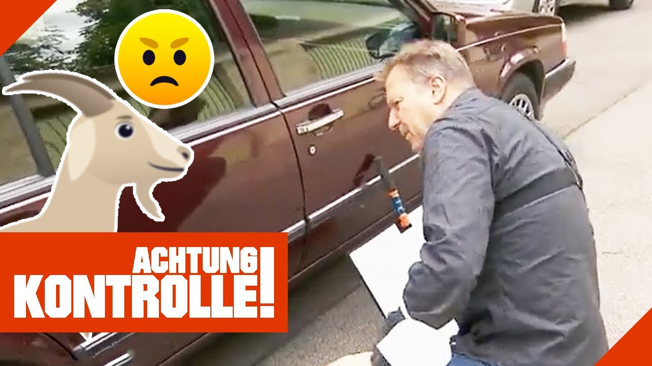 Mein Geparktes Auto Wurde Beschädigt Verursacher Bekannt Ziegenbock attackiert geparktes Auto! Wie hoch ist der Schaden? |2/2