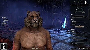 Khajiit - Elder Scrolls Online Beta - Character Creator