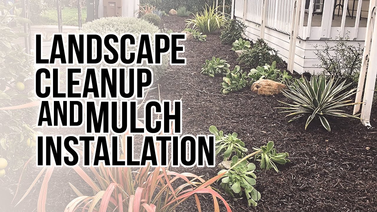 Landscape Cleanup And Mulch Installation Landscape Maintenance Company
