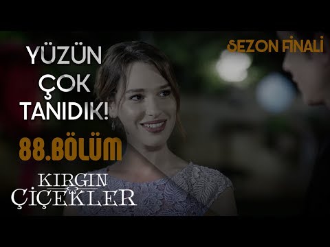 Güney ile yakınlaşmaya çalışan Harika! - Kırgın Çiçekler 88.Bölüm (Sezon Finali)