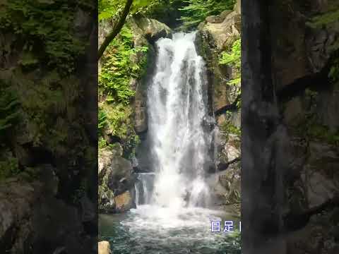 【地蔵滝】【日光市足尾】地蔵滝（栃木県日光市足尾）#shorts 　 #結婚しようチャンネル　 #waterfall