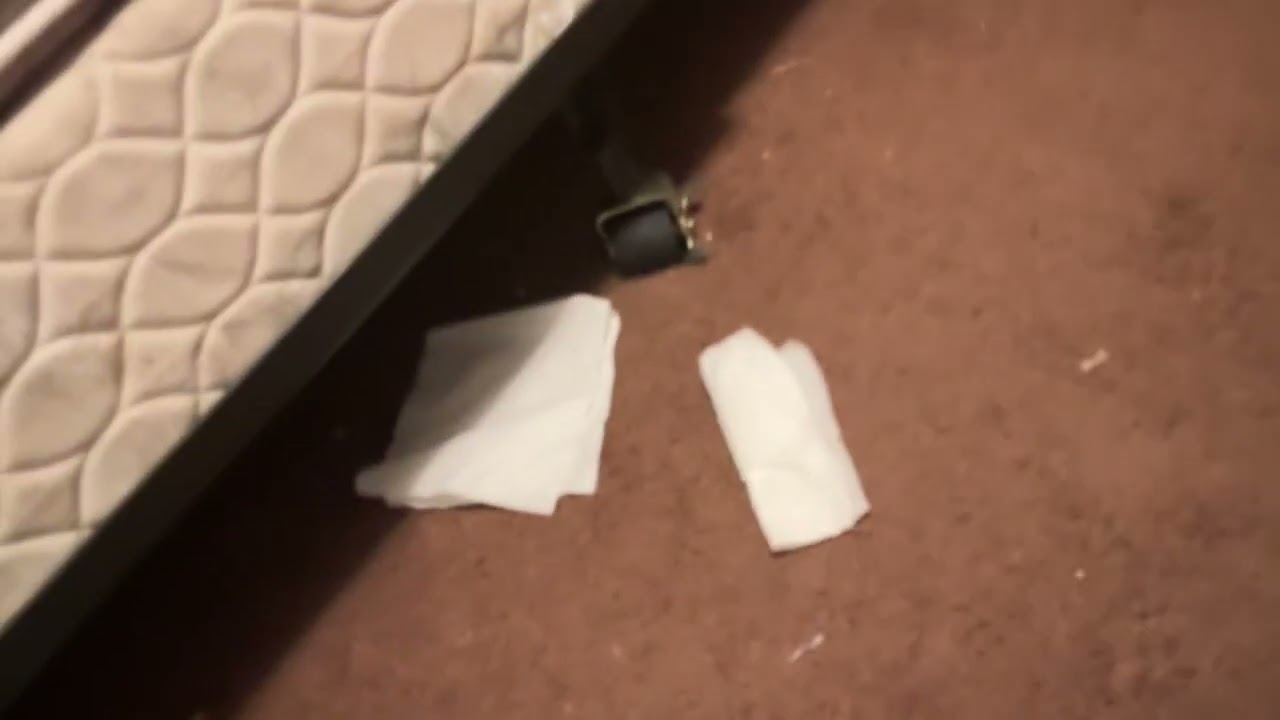 Sparrow fits perfectly in this ￼ wheelchair that my grandma used to own ￼