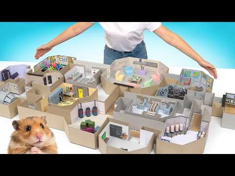Cum să faci o hartă pentru un hamster