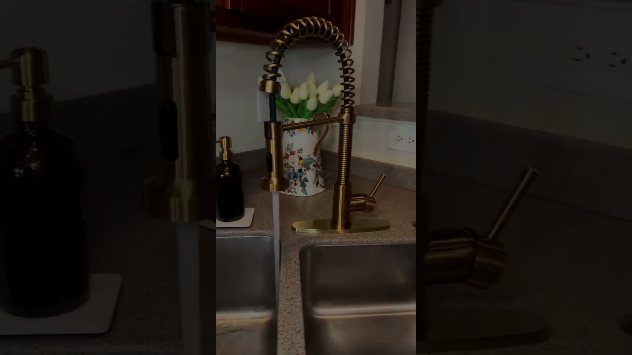 VIGO Edison Pull-Down Spray Kitchen Faucet