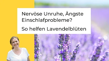 Hat Lavendel Tee Nebenwirkung?