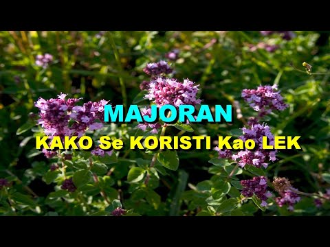 Video: Kako Se Mažuran Koristi U Kuhanju