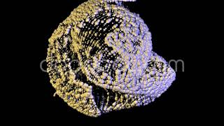 Movement | Music Visualization - doodooc.com