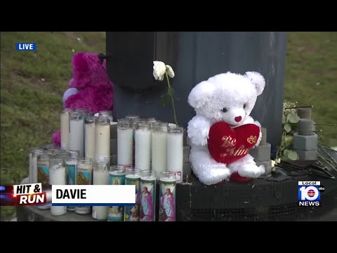 Couple dies during hit-and-run crash while riding motorcycle in Davie, relatives say