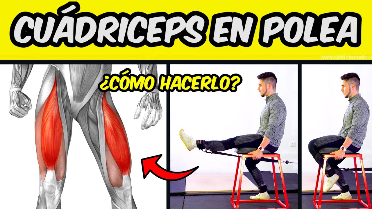 Cómo hacer EXTENSIONES DE CUÁDRICEPS en Polea Todo lo que NECESITAS