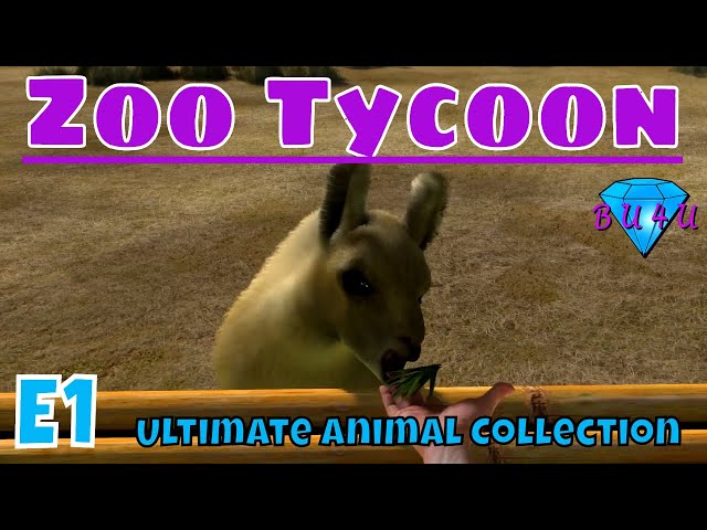 Zoo Tycoon: Complete Collection • PC – Mikes Game Shop