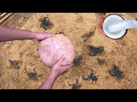 Unbelievable Experiment:Catch Scorpions From Underground Pumpkin Trap|Scorpion  Amazing Animals✅