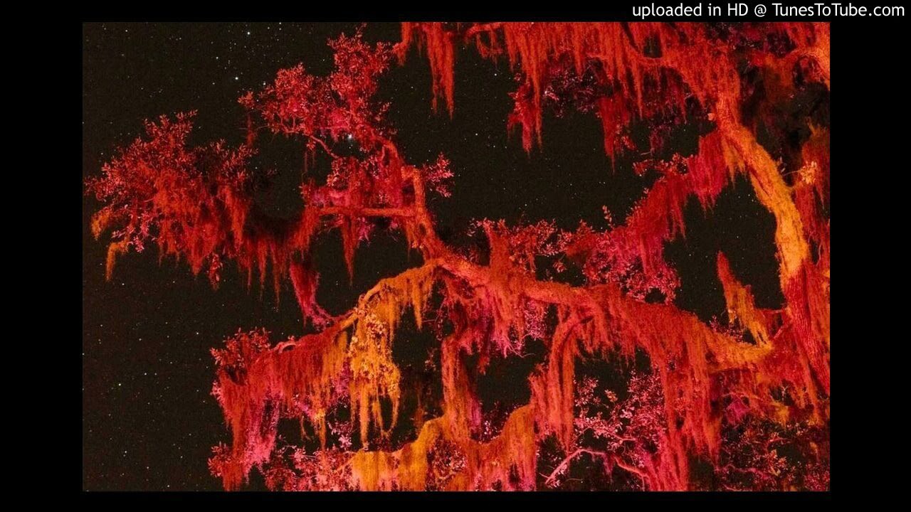 [FREE] StoopidXool x RockyyThugn x NutsoThugn type beat (Andretti88)