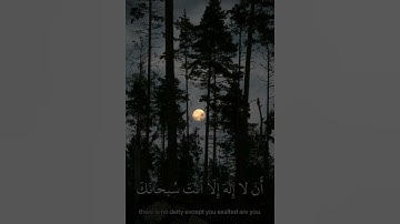 وذا النون إذ ذهب مغضباً💗سورة الأنبياء👍🏻💗