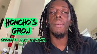 HG How to Grow Cannabis Easy Ep.5