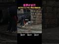 世界がまだ捨てたもんじゃない理由 (感動注意) #犬 #神対応 #感動