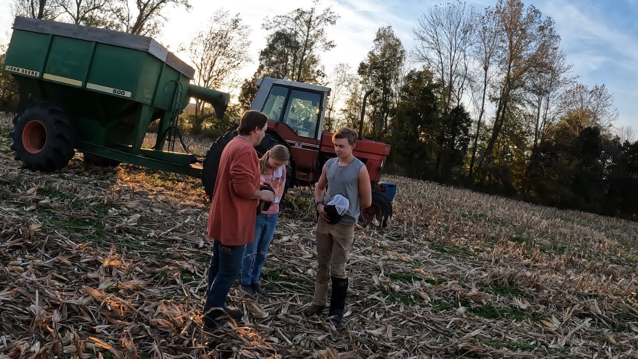Harvest Season is my Favorite Time of the Year!!! - YouTube