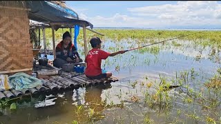 BUGIS TRIBE SURVIVES AS A FAMILY BY FISHING IN LAKE TEMPE