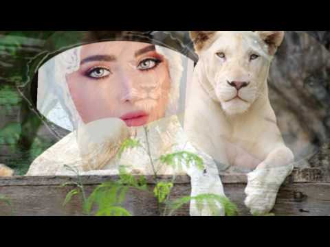 بحر عينك/فؤاد59