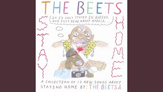 Video thumbnail of "The Beets - Just A Whim"
