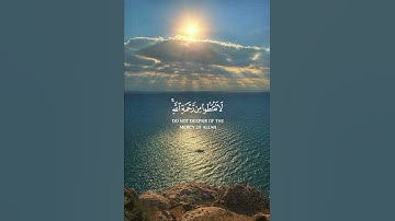 تلاوة من سورة الزمر 🌹قرآن كريم 🌹القارئ ياسر الدوسري🌹