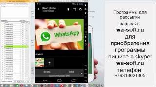 Рассылка по Whatsapp! Текст с картинкой screenshot 5