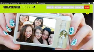 Wordpress Themify remove header