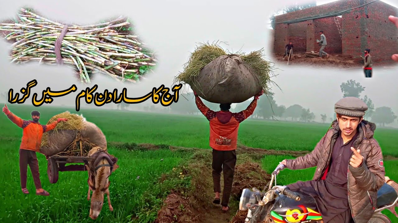 Aaj Ka Sara Din Kaam Mein Guzara || My Village Life Routine 🥰