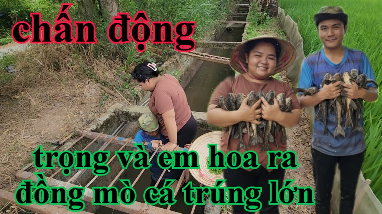 Chấn động trọng và em hoa ra đồng mò cá trúng lớn