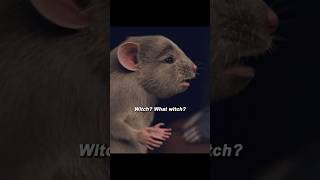  Its Just Chocolate   Right   the Witchs Evil Plan  The Witches 1990