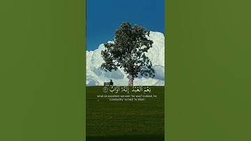 قرأن كريم_سورة ص اية 28_32 بصوت محمد النقيدان #nasheed #اكسبلور #لايك