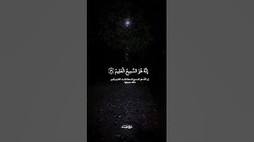 يالله🤍#قرآن #قران_كريم #القرآن_الكريم #quran #فلسطين #palestine #غزة #gaza #الشيخ #اذكار #دعاء #الله