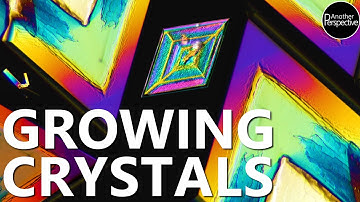Grow Crystals | A Time Lapse that will blow Your Mind