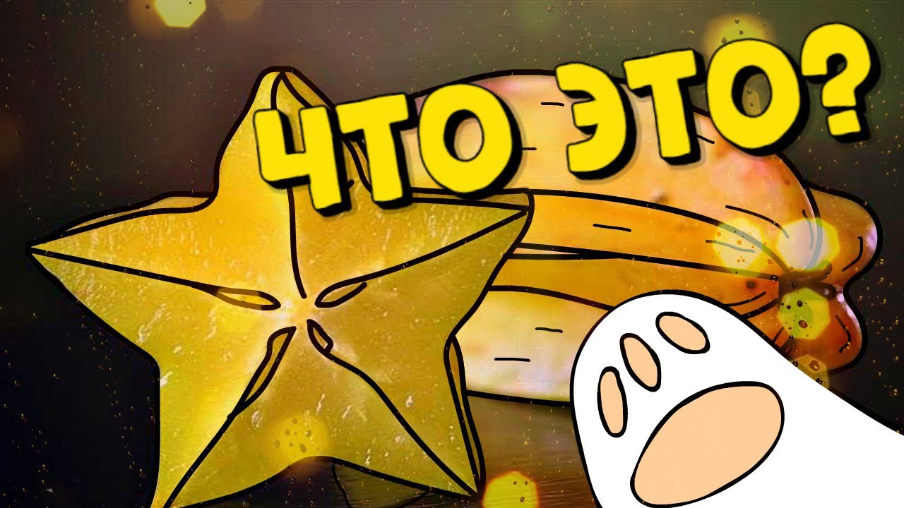 ЧТО ТАКОЕ КАРАМБОЛА?