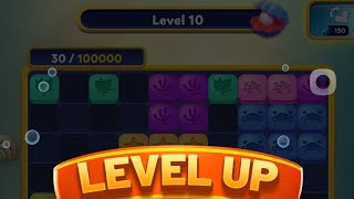 How to complete 10 Level sea block 1010 game 2023 screenshot 3