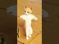 اول معرفت انك