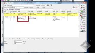 Using Flowsheets in Welford Chart Notes