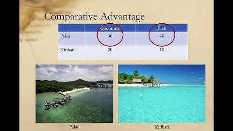 Absolute and Comparative Advantage