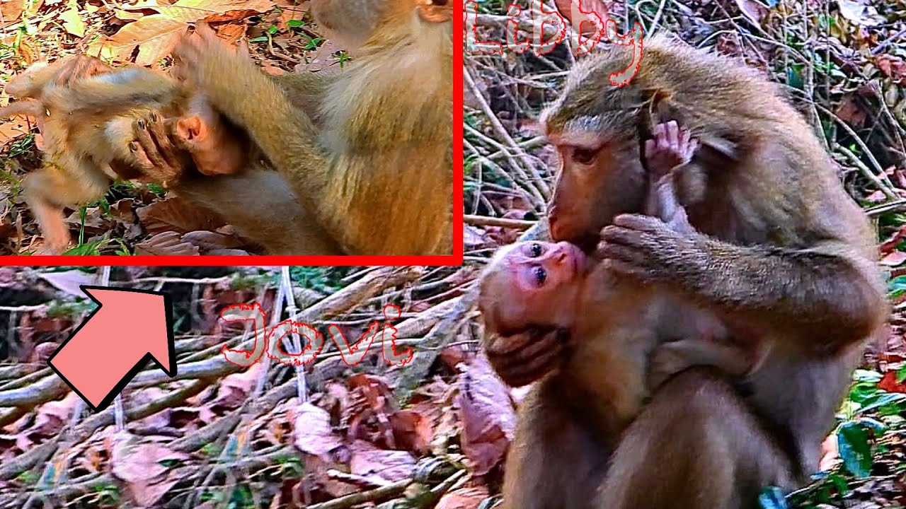 Where did that bring you back to me. Cant take my eyes of you. Ноги парней. Окошко для вопросов в инстаграм. Couldn t take.