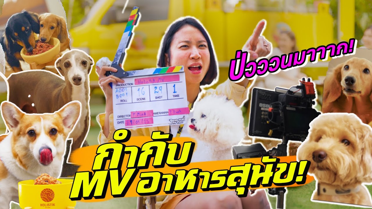 กำกับ MV น้องหมา 20 ชีวิต!  ป่วน น่ารักทะลุโลก!