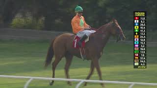 Vidéo de la course PMU PRIX FULL OF LUCK