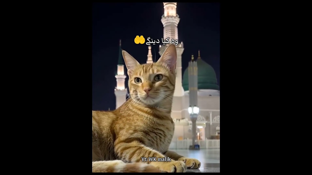 Khuda Ki Azmateyain Kya Hai💕☝️||