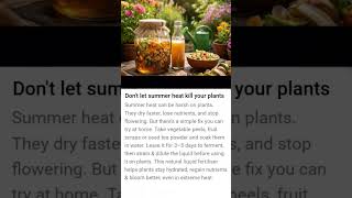 summer heart kill your plant