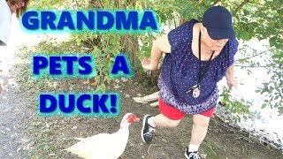GRANDMA PETS A DUCK!