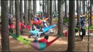 Wisata Kekinian Bernuansa Alam di Cianjur, ke Sini Yuk!
